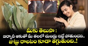 మీకు తెలుసా : బిర్యానీ ఆకుతో మీ తలలో చుండ్రు ఇట్టే పోతుందని.. జుట్టు రాలటం కూడా తగ్గుతుంది..!
