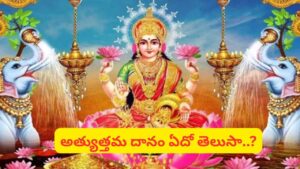 లక్ష్మీదేవికి కోపం తెప్పించే దానాలు ఇవేనా? తెలియక చేస్తే పుణ్యం కాదు, పాపమే!
