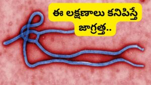 ఎబోలా వైరస్ విజృంభణ.. అలాంటి వారు ఐసోలేట్ అవ్వాలి: కేంద్ర ప్రభుత్వం కీలక ప్రకటన..