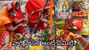 నిర్జల ఏకాదశి ఉపవాసం ఎప్పుడు విరమించాలి? హరి వాసర టైమ్, పారణ నియమాలు తెలుసుకోండి!