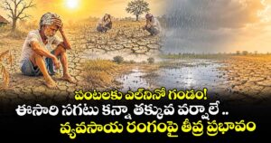 పంటలకు ఎల్‌‌నినో గండం! ఈసారి సగటు కన్నా తక్కువ వర్షాలే ..వ్యవసాయ రంగంపై తీవ్ర ప్రభావం
