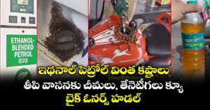 ఇథనాల్ పెట్రోల్ వింత కష్టాలు: తీపి వాసనకు చీమలు, తేనెటీగలు క్యూ.. బైక్ ఓనర్స్ హడల్