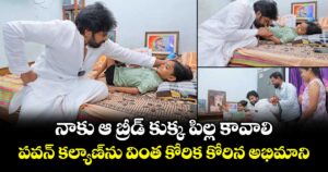 నాకు ఆ బ్రీడ్ కుక్క పిల్ల కావాలి: పవన్ కల్యాణ్‎ను వింత కోరిక కోరిన అభిమాని