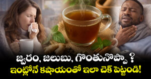 జ్వరం, జలుబు, గొంతునొప్పా ? ఇంట్లోనే కషాయంతో ఇలా చెక్ పెట్టండి!