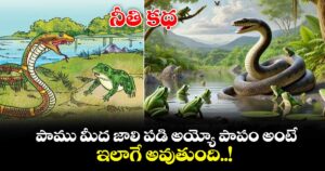 నీతి కథ: పాము మీద జాలి పడి అయ్యో పాపం అంటే...ఇలాగే అవుతుంది..!