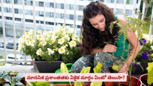 జిమ్‌కు వెళ్తే ఫిజికల్ హెల్త్..! ఇక్కడ టైమ్ గడిపితే మెంటల్‌ హెల్త్‌ మీ సొంతం