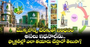 మొక్కజొన్న, చెరకుతో ఇంధనం.. అసలు ఇథనాల్‌ను ఫ్యాక్టరీల్లో ఎలా తయారు చేస్తారో తెలుసా?