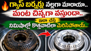 Video: గ్యాస్ బర్నర్ నల్లగా మారి మంట చిన్నగా వస్తుందా.. ఇలా చేస్తే నిమిషాల్లోనే కొత్తదానిలా మెరిసిపోవడం పక్కా..