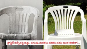 Home Hacks: తెల్లటి ప్లాస్టిక్ కుర్చీలు పచ్చగా మారిపోయాయా?.. రూపాయి ఖర్చు లేకుండా కొత్తవాటిలా మెరిపించే సీక్రెట్ టిప్స్ ఇవే!