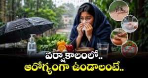 వర్షాకాలంలో ఆరోగ్యంగా ఉండాలంటే..