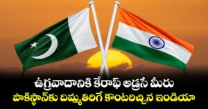ఉగ్రవాదానికి కేరాఫ్ అడ్రసే మీరు.. పాకిస్థాన్‌కు దిమ్మతిరిగే కౌంటరిచ్చిన ఇండియా
