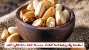 Jackfruit Seeds: పనస గింజలను పారేస్తున్నారా.. ఈ లాభాలు తెలిస్తే అస్సలు వదిలిపెట్టరు!