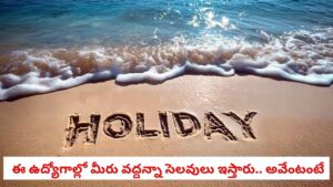 Holiday Perks: ఏ ఉద్యోగంలో ఎక్కువ సెలవులు దొరుకుతాయ్? ఆ విషయం తెలిస్తే, మీరు అక్కడే పని చేయడానికి ఇష్టపడతారు!