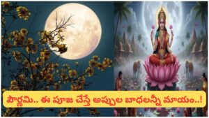 Pournami: పౌర్ణమి రోజున ఈ ఒక్క పని చేస్తే చాలు.. అప్పుల బాధ దూరమై లక్ష్మీకటాక్షం కలుగుతుందట!