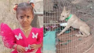 Kakinada: కాకినాడ చిన్నారి మిస్సింగ్ కేసులో ట్విస్ట్.. పెంపుడు కుక్క మృతి