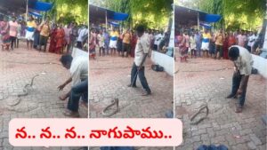 అమ్మబాబోయ్..! నడకమార్గంలో నాగుపాము.. బుసలు కొట్టి ఏం చేసిందంటే..
