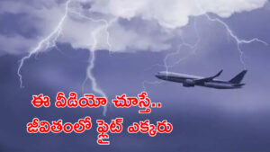 Video: ఆకాశంలో భయంకర దృశ్యం.. చావు కేకలు పెట్టిన 207 మంది ప్రయాణికులు..