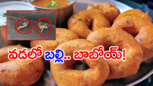 Watch Video: వడలో బల్లి తల.. చట్నీలో మిగతా భాగం.. టిఫిన్ తింటుండగా ఊహించని షాక్
