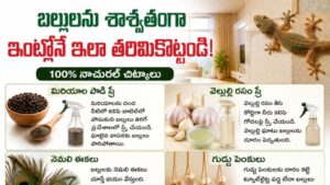 lizards: ఇంట్లో బల్లుల బెడదా? పైసా ఖర్చు లేకుండా శాశ్వతంగా తరిమికొట్టేందుకు అద్భుతమైన చిట్కాలు ఇవే!