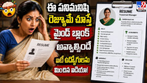 ఈ పనిమనిషి రెజ్యూమే చూస్తే మైండ్‌ బ్లాంక్‌ అవ్వాల్సిందే ఐటీ ఉద్యోగులను మించిన ఐడియా!