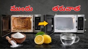 Microwave: మైక్రోవేవ్ జిడ్డుగా మారిందా.. కిచెన్‌లో దొరికే వీటితో క్షణాల్లో కొత్త దానిలా మార్చండి.. ఎలా అంటే?