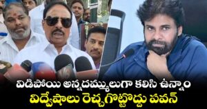 విడిపోయి అన్నదమ్ములుగా కలిసి ఉన్నాం.. పవన్ విద్వేషాలు రెచ్చగొట్టొద్దు  : ఎమ్మెల్యే దానం నాగేందర్