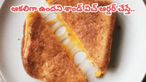 జోమాటోలో శాండ్‌విచ్ ఆర్డర్ చేసిన మహిళ.. ఆతృతగా తింటుండగా నోటికి తగిలిన వస్తువు.. సీన్ కట్‌చేస్తే