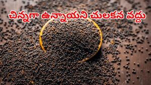 Mustard Seeds: చిన్నగా ఉన్నాయని చులకన వద్దు.. ప్రయోజనాలు తెలిస్తే.. కేజీలు కేజీలు తెచ్చుకుంటారు