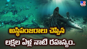 సముద్రంలో శ్మశానవాటిక.. ఎవరిదో తెలుసా!