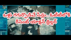 OTT Movie: ‘మార్కో’కు మించి వయలెన్స్.. ఓటీటీలో ఒళ్లుగగుర్పొడిచే  యాక్షన్ థ్రిల్లర్.. పిల్లలతో కలిసి చూడొద్దు