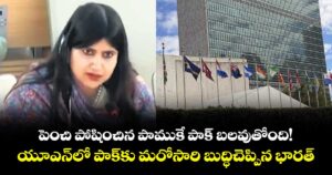 పెంచి పోషించిన పాముకే పాక్ బలవుతోంది!..యూఎన్లో పాక్కు మరోసారి బుద్ధిచెప్పిన భారత్