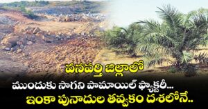 వనపర్తి జిల్లాలో ముందుకు సాగని పామాయిల్ ఫ్యాక్టరీ...ఇంకా పునాదుల తవ్వకం దశలోనే..