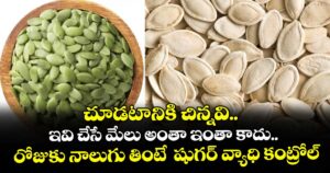 Good Health : చూడటానికి చిన్నవి.. ఇవి చేసే మేలు అంతా ఇంతా కాదు.. రోజుకు నాలుగు తింటే  షుగర్ వ్యాధి కంట్రోల్