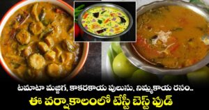Food : టమాటా మజ్జిగ, కాకరకాయ పులుసు, నిమ్మకాయ రసం.. ఈ వర్షాకాలంలో టేస్టీ బెస్ట్ ఫుడ్