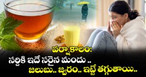 వర్షాకాలం:  సర్దికి ఇదే సరైన మందు .. జలుబు.. జ్వరం.. ఇట్టే తగ్గుతాయి..