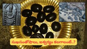 Salagrama Puja: సాలగ్రామాన్ని ఇంట్లో ఎందుకు ఉంచుకోరంటే? శాస్త్రాలు చెప్పిన అసలు కారణం ఇదే!