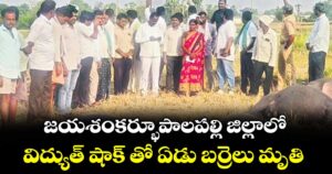 జయశంకర్భూపాలపల్లి జిల్లాలో.. విద్యుత్ షాక్ తో ఏడు బర్రెలు మృతి