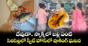 దేవుడా.. స్నాక్స్⁭లో బల్లి ఏంటి.. సిరిసిల్లలో స్వీట్ హౌస్⁫లో షాకింగ్ ఘటన