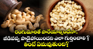 రంగుమారితే పారేయాల్సిందేనా.. జీడిపప్పు పాడైపోయిందని ఎలా గుర్తించాలి ? తింటే ఏమవుతుంది?