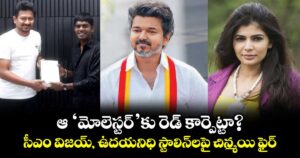 Chinmayi Sripaada: ఆ 'మోలెస్టర్'కు రెడ్ కార్పెట్టా?  సీఎం విజయ్, ఉదయనిధి స్టాలిన్‌లపై చిన్మయి ఫైర్