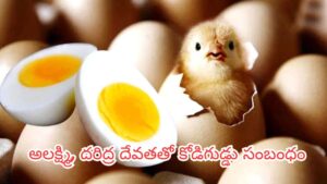 Eggs: కోడిగుడ్డు శాకాహారమా, మాంసాహారమా? ఇది తప్పక తెలుసుకోండి