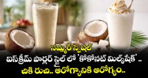 సమ్మర్ స్పెషల్: ఐస్‌క్రీమ్ పార్లర్ స్టైల్ లో 'కోకోనట్ మిల్క్‌షేక్' .. రుచికి రుచి.. ఆరోగ్యానికి ఆరోగ్యం..