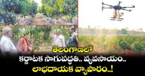 తెలంగాణలో..  కర్ణాటక సాగుపద్ధతి.. వ్యవసాయం.. లాభదాయక వ్యాపారం..!