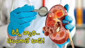 కిడ్నీ వ్యాధి మరణాల్లో తెలంగాణనే టాప్! బాధితుల సంఖ్య పెరగడానికి కారణాలు ఇవే