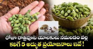 రోజూ రాత్రిపూట యాలకులు నమలడం వల్ల కలిగే 5 అద్భుత ప్రయోజనాలు ఇవే !