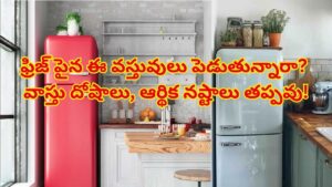 ఫ్రిజ్ పైన పొరపాటున కూడా ఈ వస్తువులను ఉంచకండి.. నెగటివ్ ఎనర్జీకి వెల్కమ్‌ చెప్పినట్టే..!