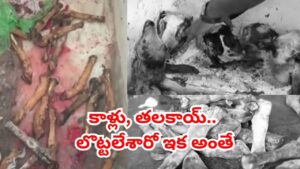 ఛీ.. ఛీ.. కుళ్లిన మాంసం అమ్మేస్తున్నారు.. నాన్‌-వెజ్‌ ప్రియులారా తస్మాత్ జాగ్రత్త..! వీడియో చూస్తే