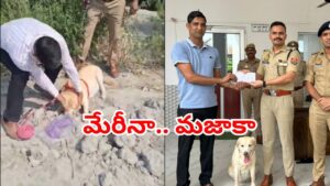 Viral Video: కేసు వదిలిలేద్దామనుకున్నారు.. కట్‌చేస్తే.. డాగ్‌ స్క్వాడ్ ఎంట్రీతో మారిన సీన్.. చిన్న గుడ్డ ముక్కతో..