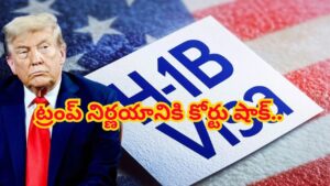 హెచ్‌1బీ వీసాదారులకు బంపర్ గుడ్‌న్యూస్.. ట్రంప్ లక్ష డాలర్ల ఫీజుపై కోర్టు కొరడా!