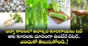 Food : వర్షా కాలంలో తినాల్సిన కూరగాయలు ఇవే : ఆకు కూరలకు దూరంగా ఉంటేనే బెటర్.. ఎందుకో తెలుసుకోండి..!
